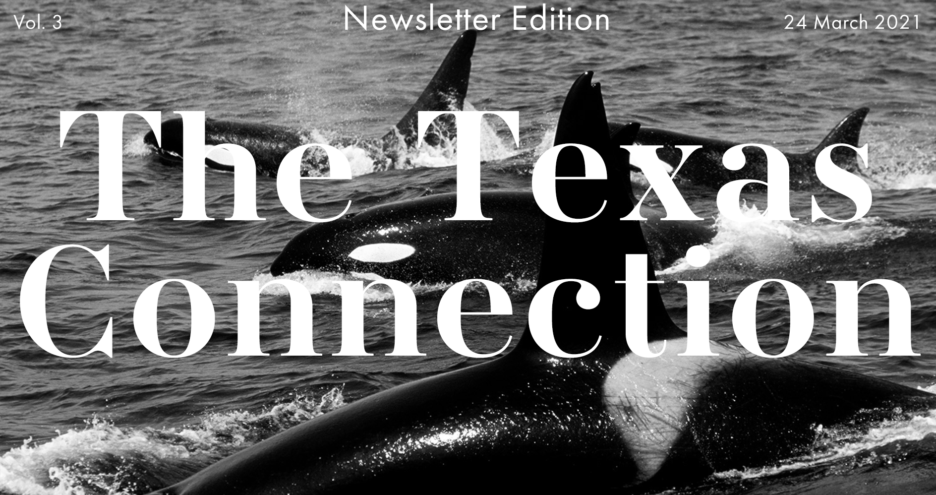 The Texas Connection Vol. 10