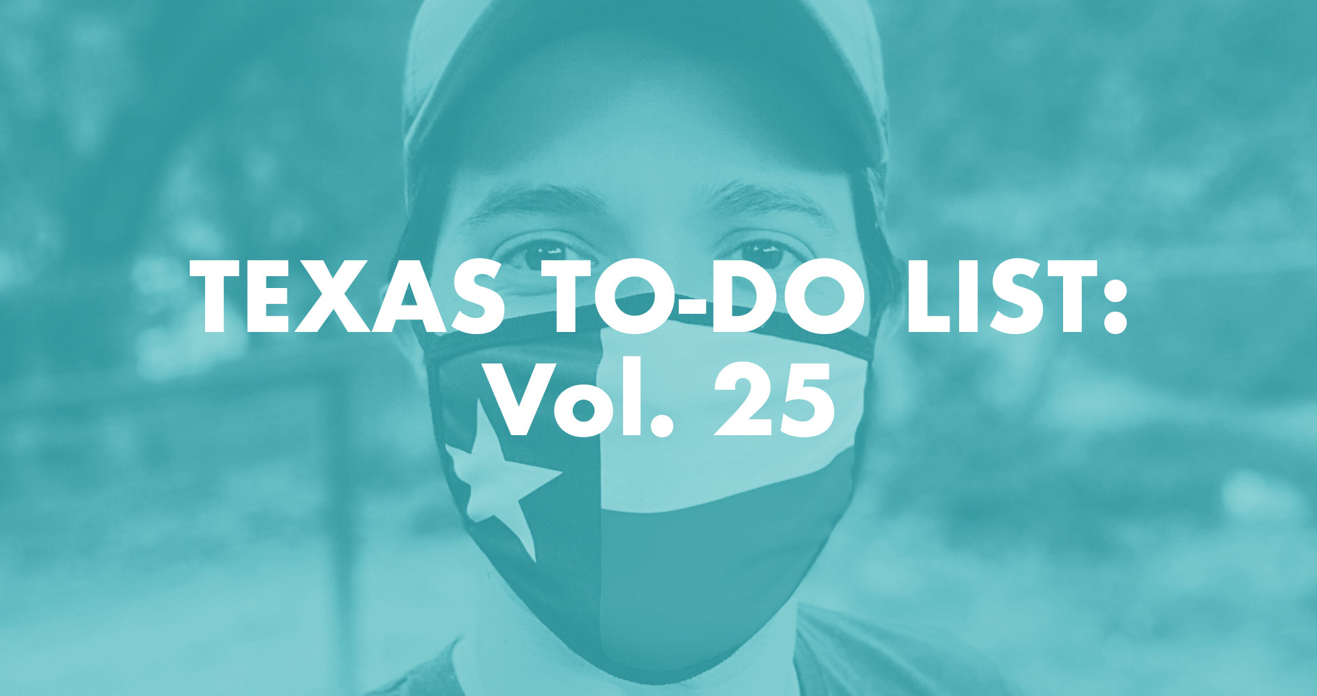 Texas ToDo List Vol. 25 Texas Humor