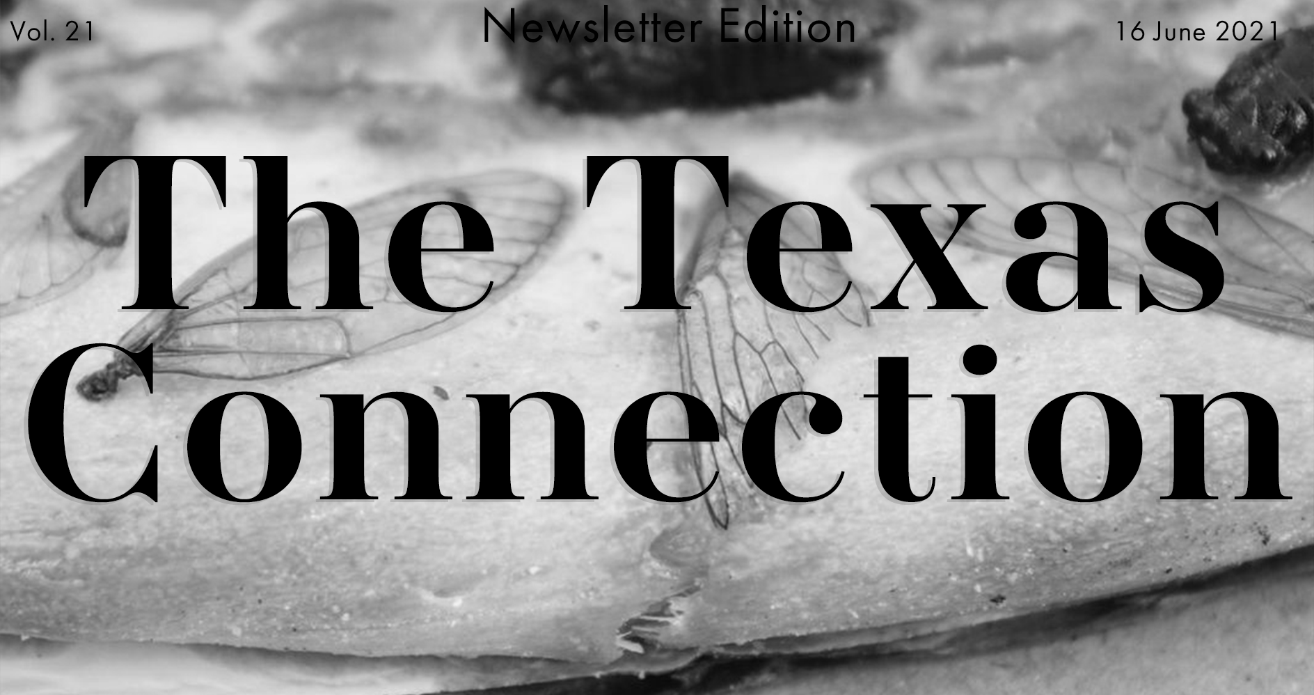 The Texas Connection Vol. 21