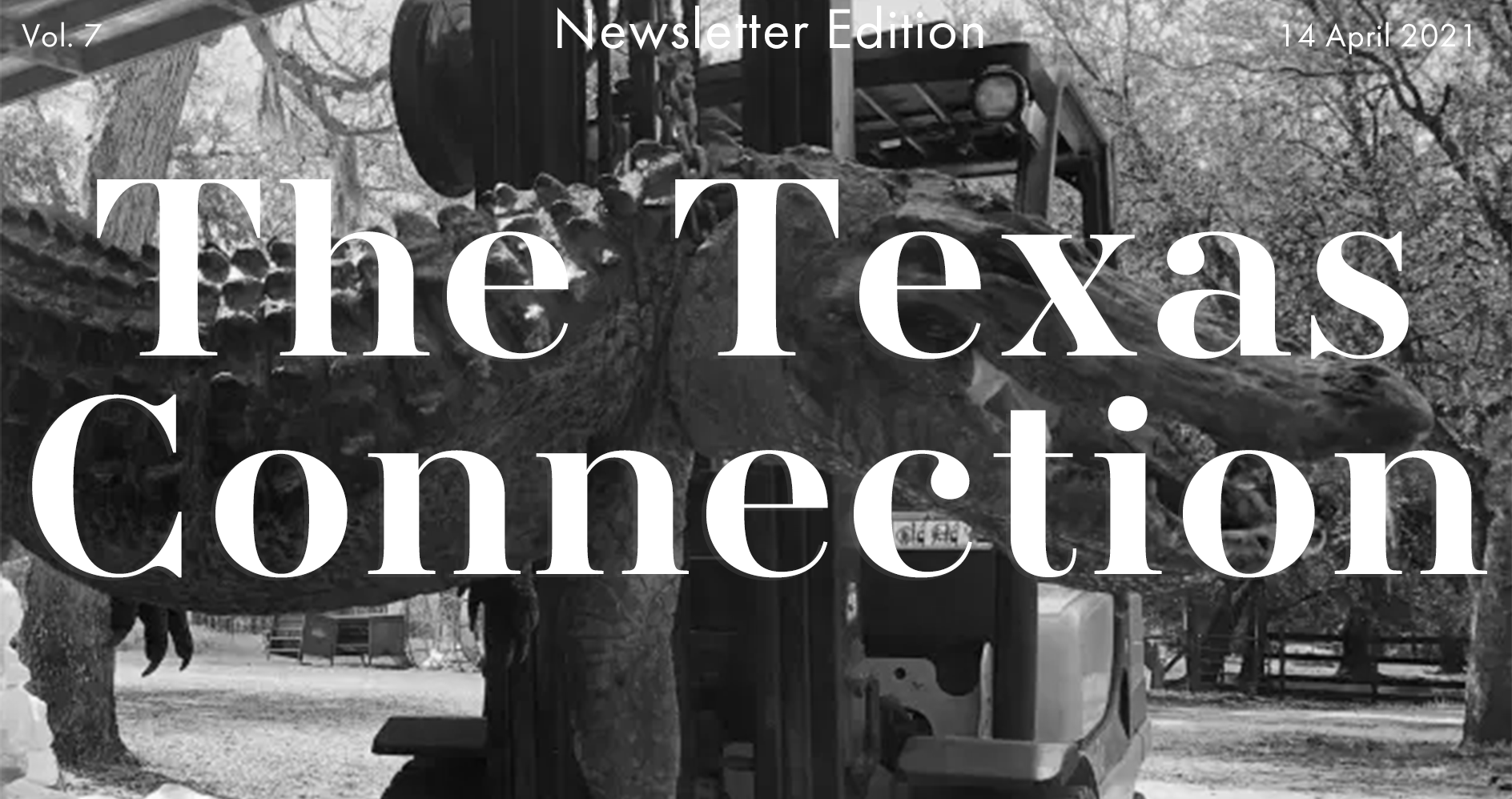 The Texas Connection Vol. 14
