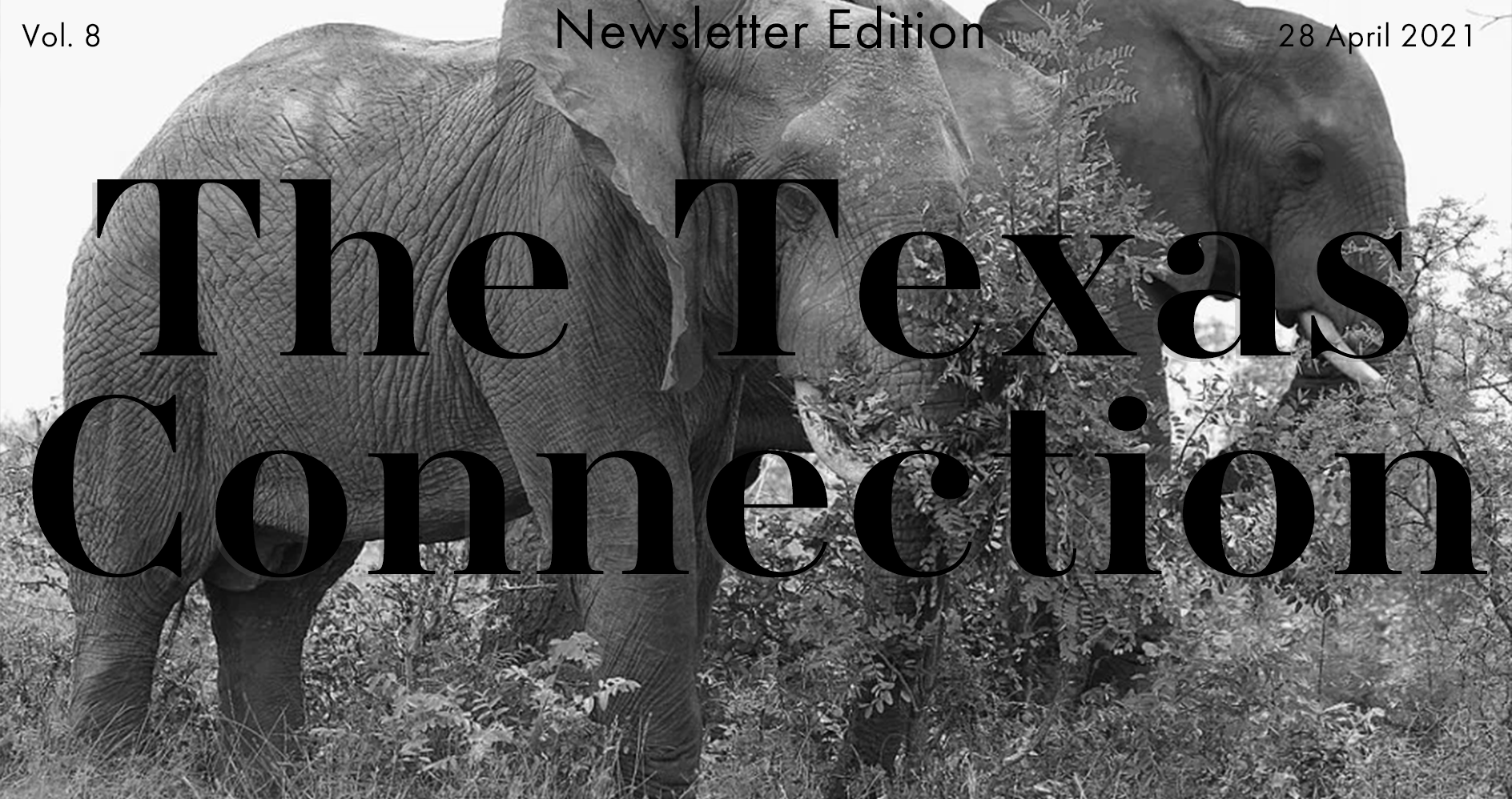 The Texas Connection Vol. 15