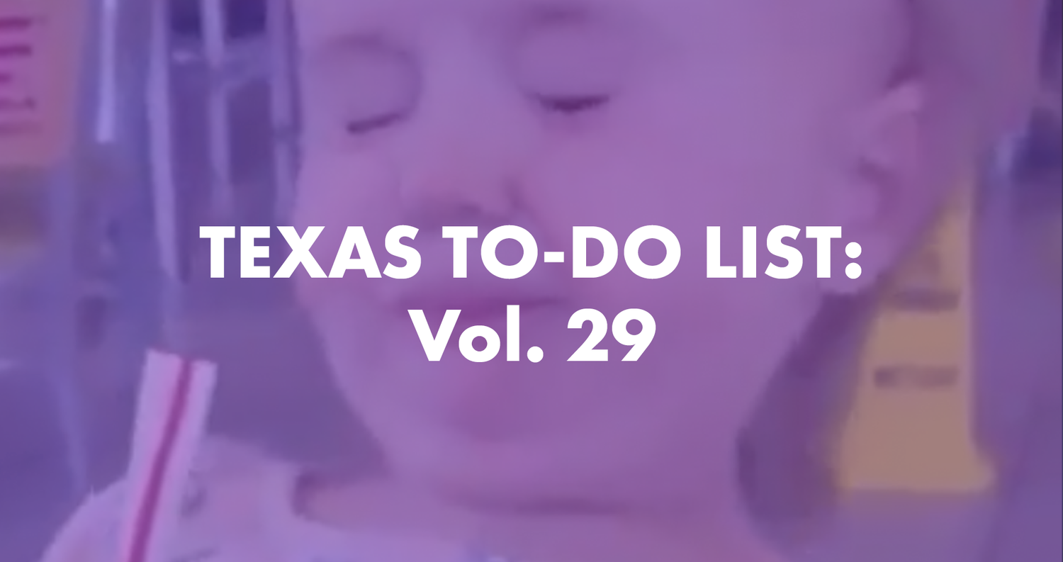 Texas To-Do List: Vol. 29