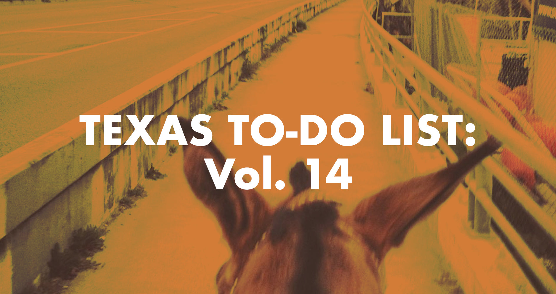 Texas To-Do List: Vol. 14
