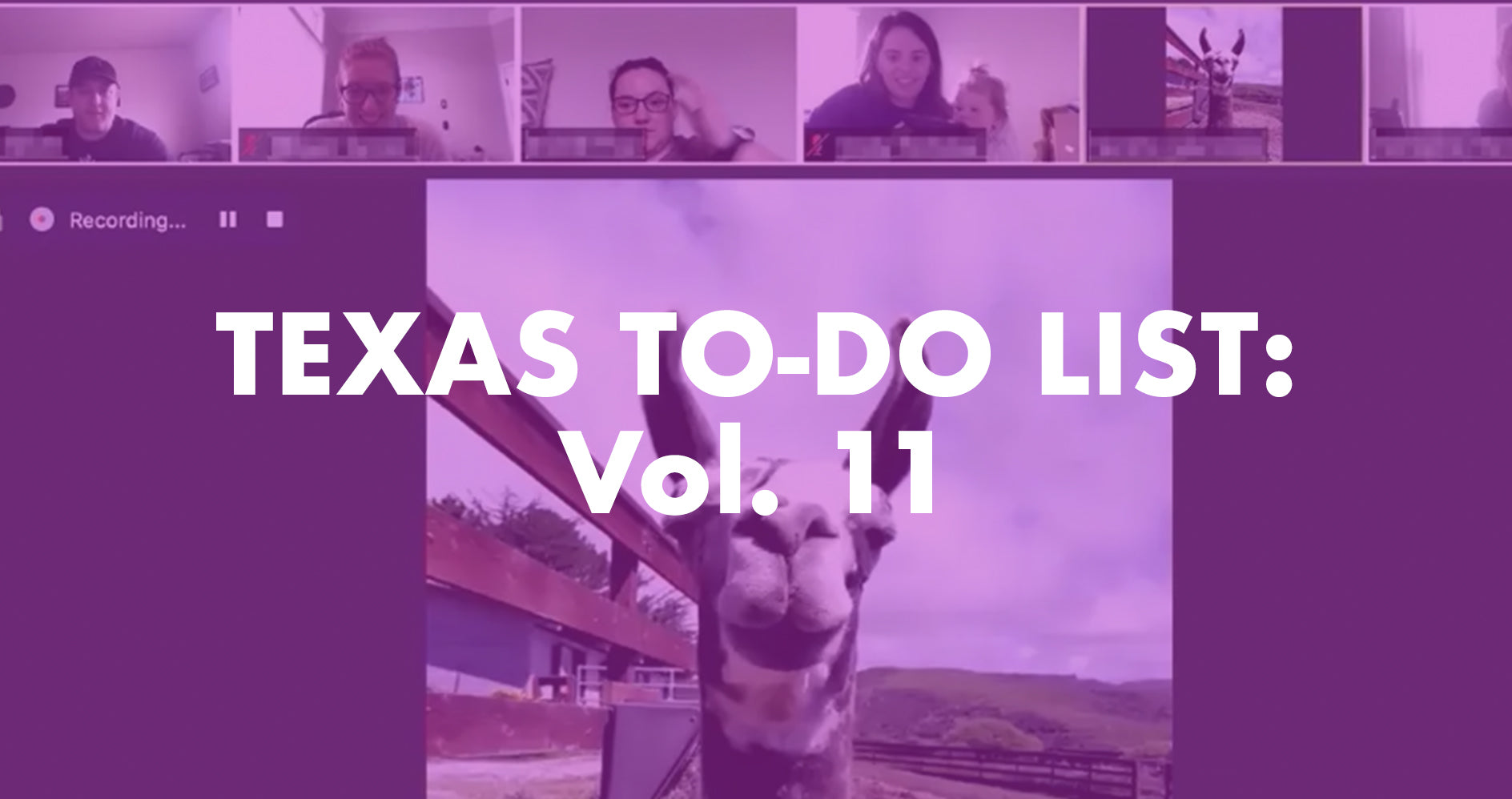 Texas To-Do List: Vol. 11