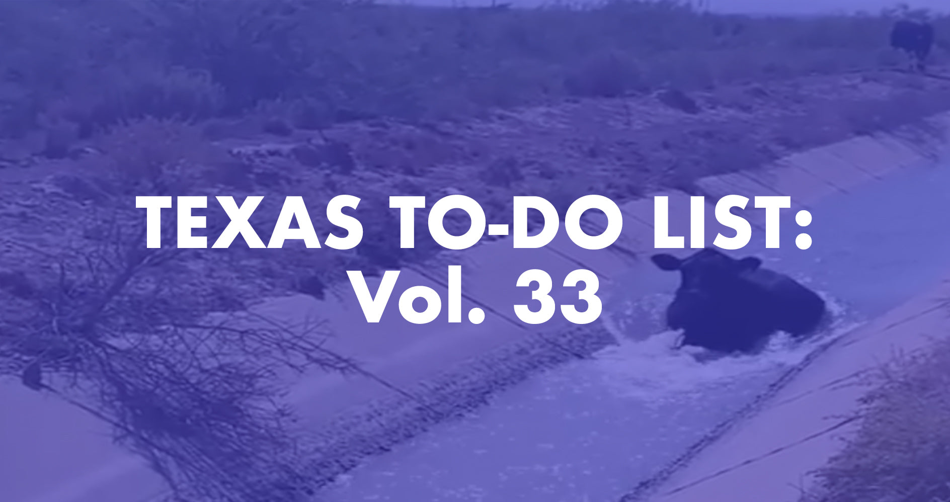 Texas To-Do List: Vol. 33