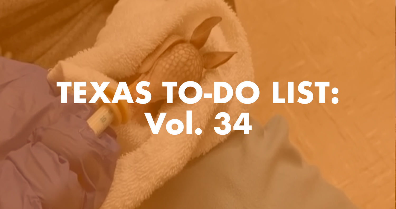 Texas To-Do List: Vol. 34