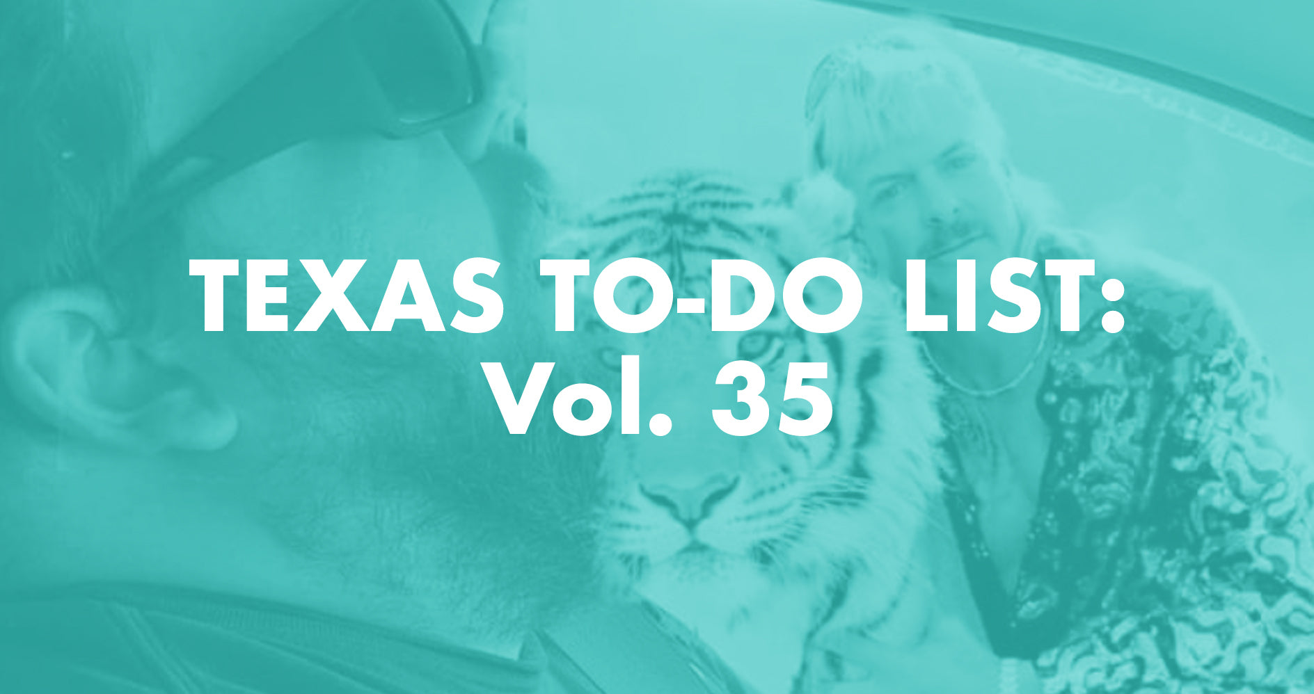 Texas To-Do List: Vol. 35