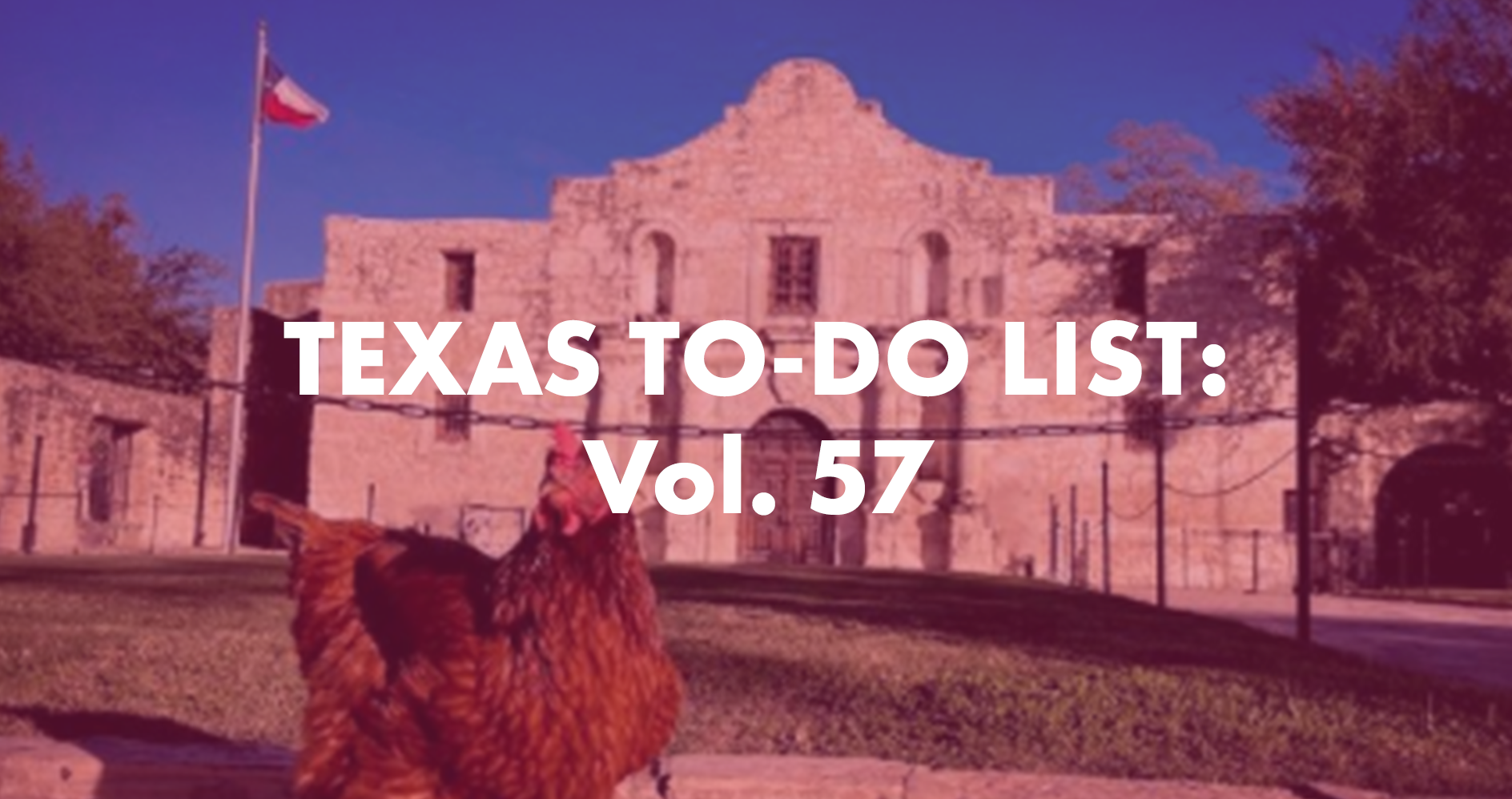 Texas To-Do List Vol. 57