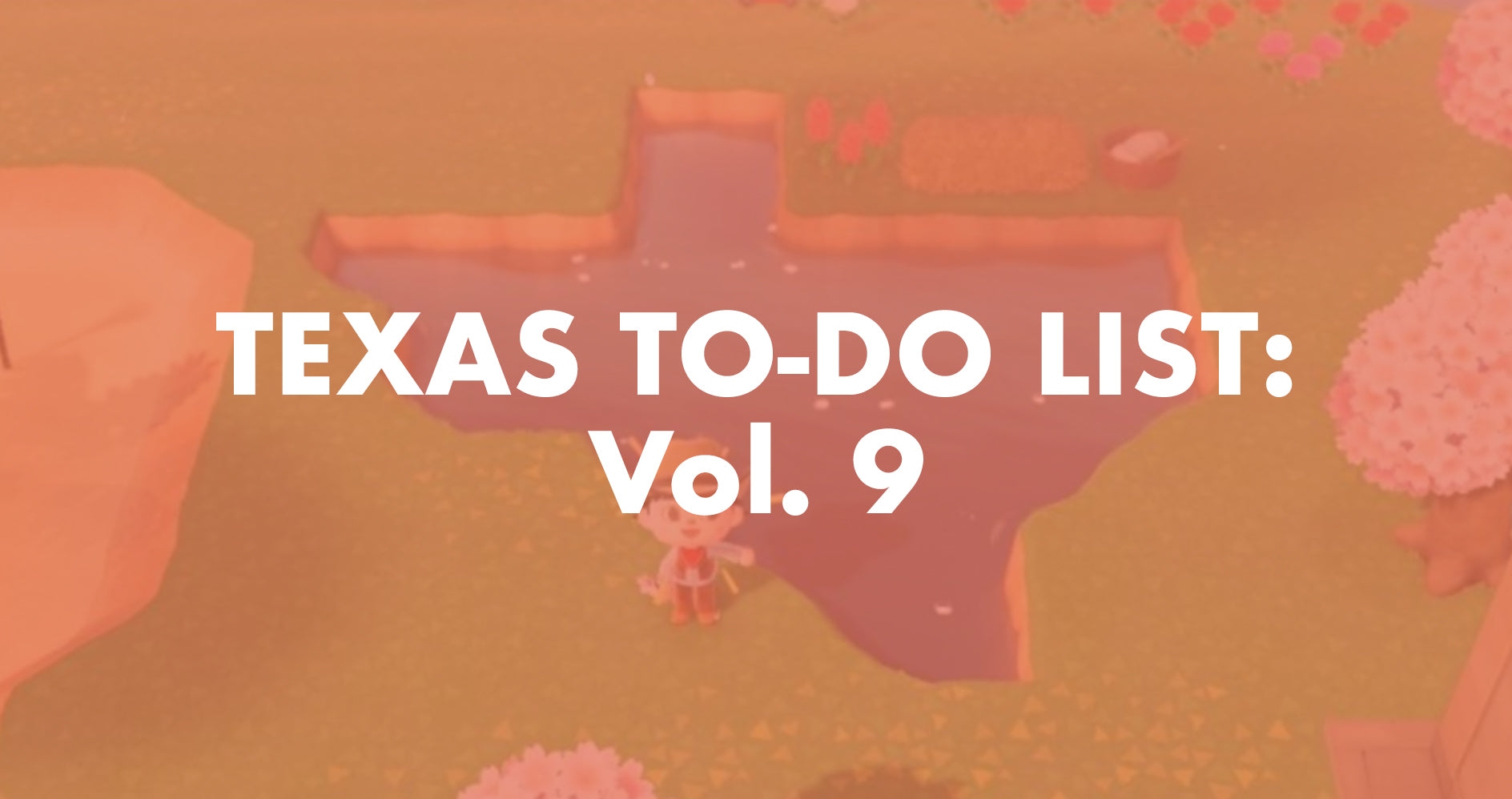 Texas To-Do List: Vol. 9