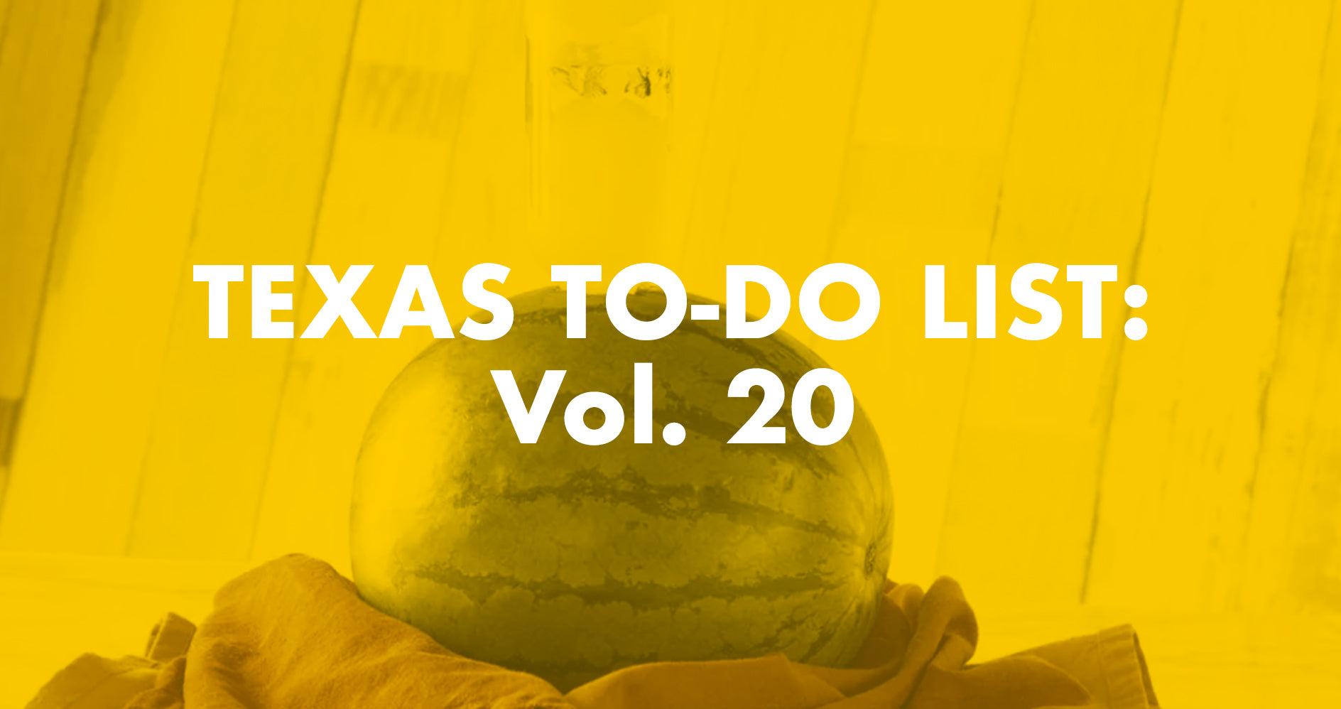 Texas To-Do List: Vol. 20