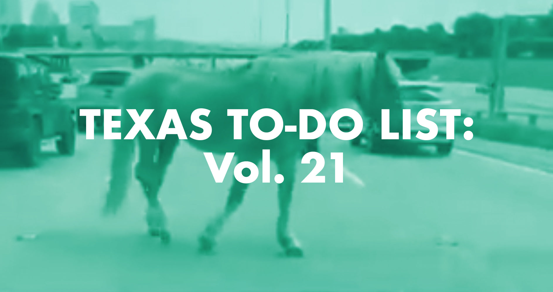 Texas To-Do List: Vol. 21