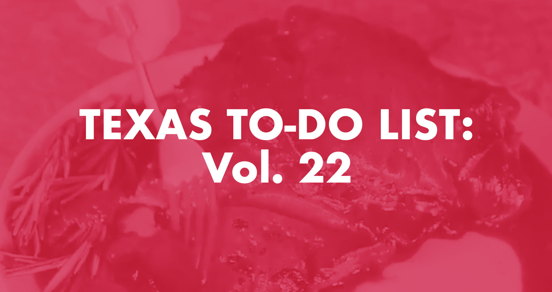 Texas To-Do List: Vol. 22