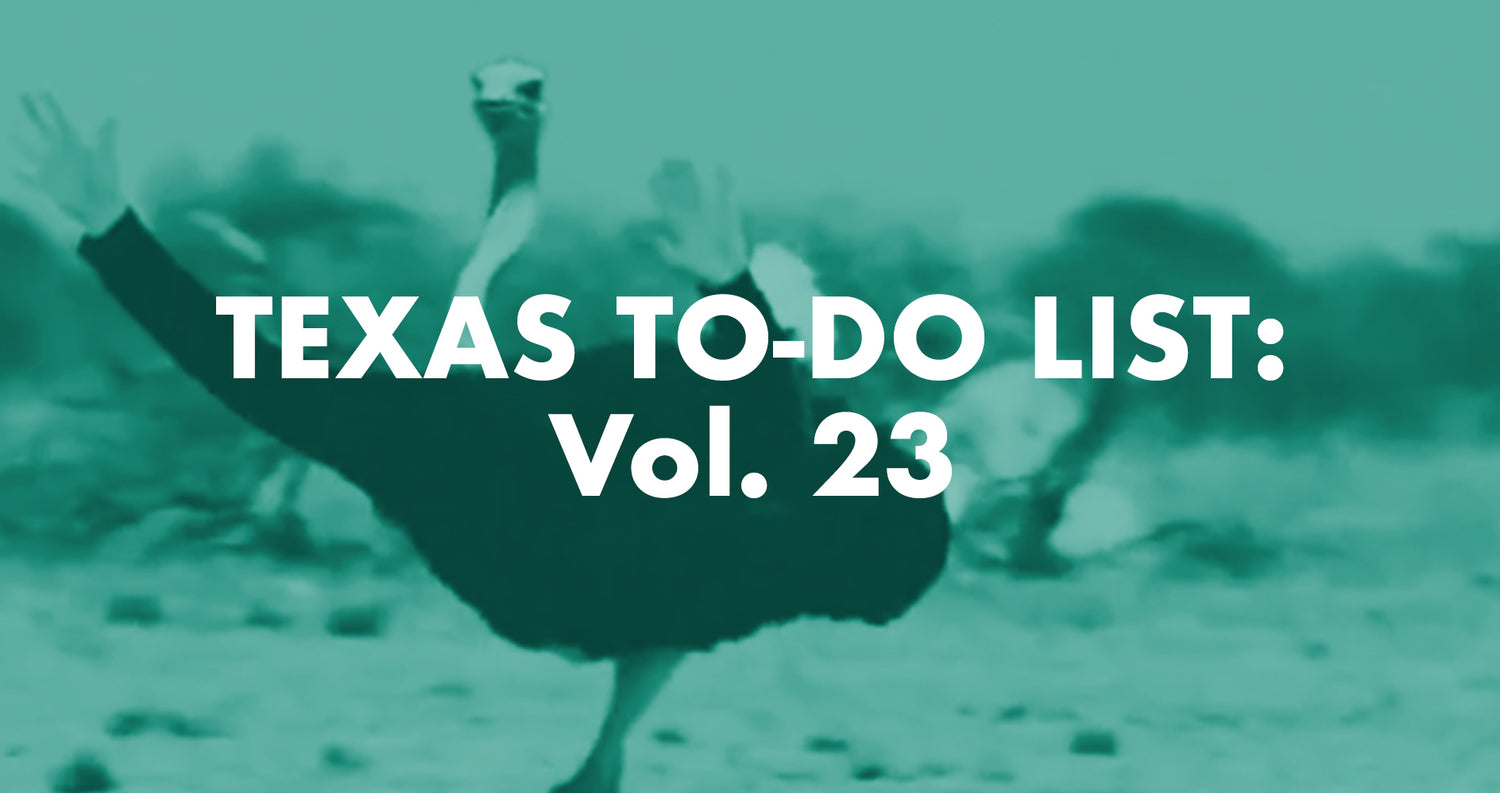 Texas To-Do List: Vol. 23