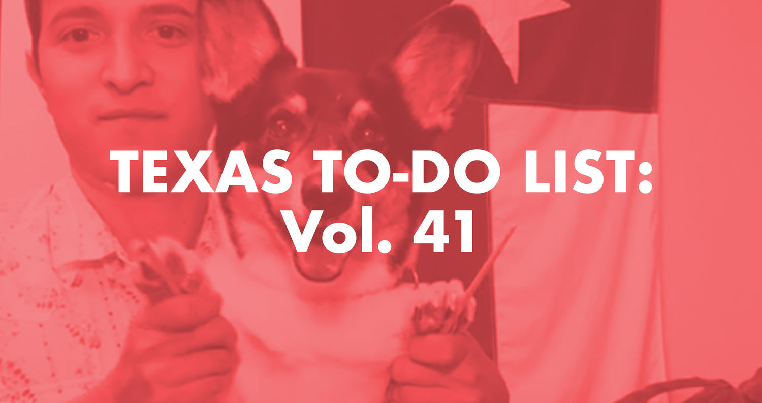 Texas To-Do List: Vol. 41