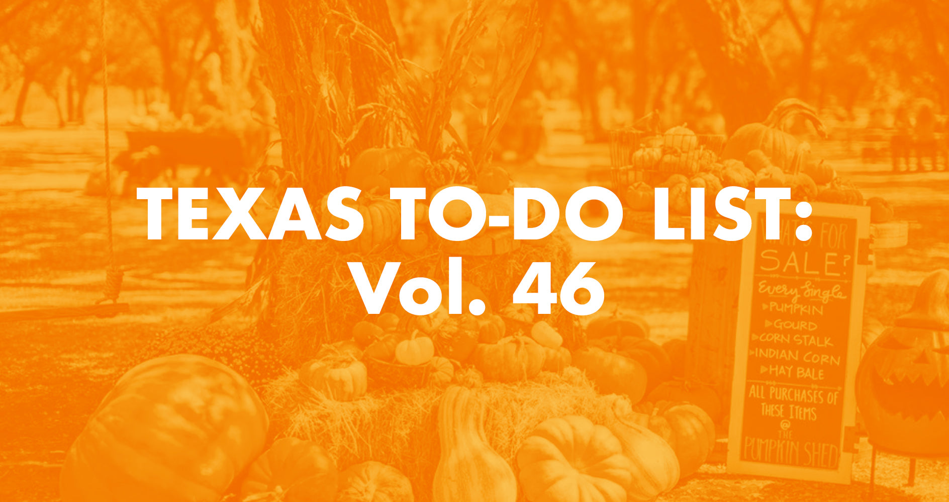 Texas To-Do List: Vol. 46