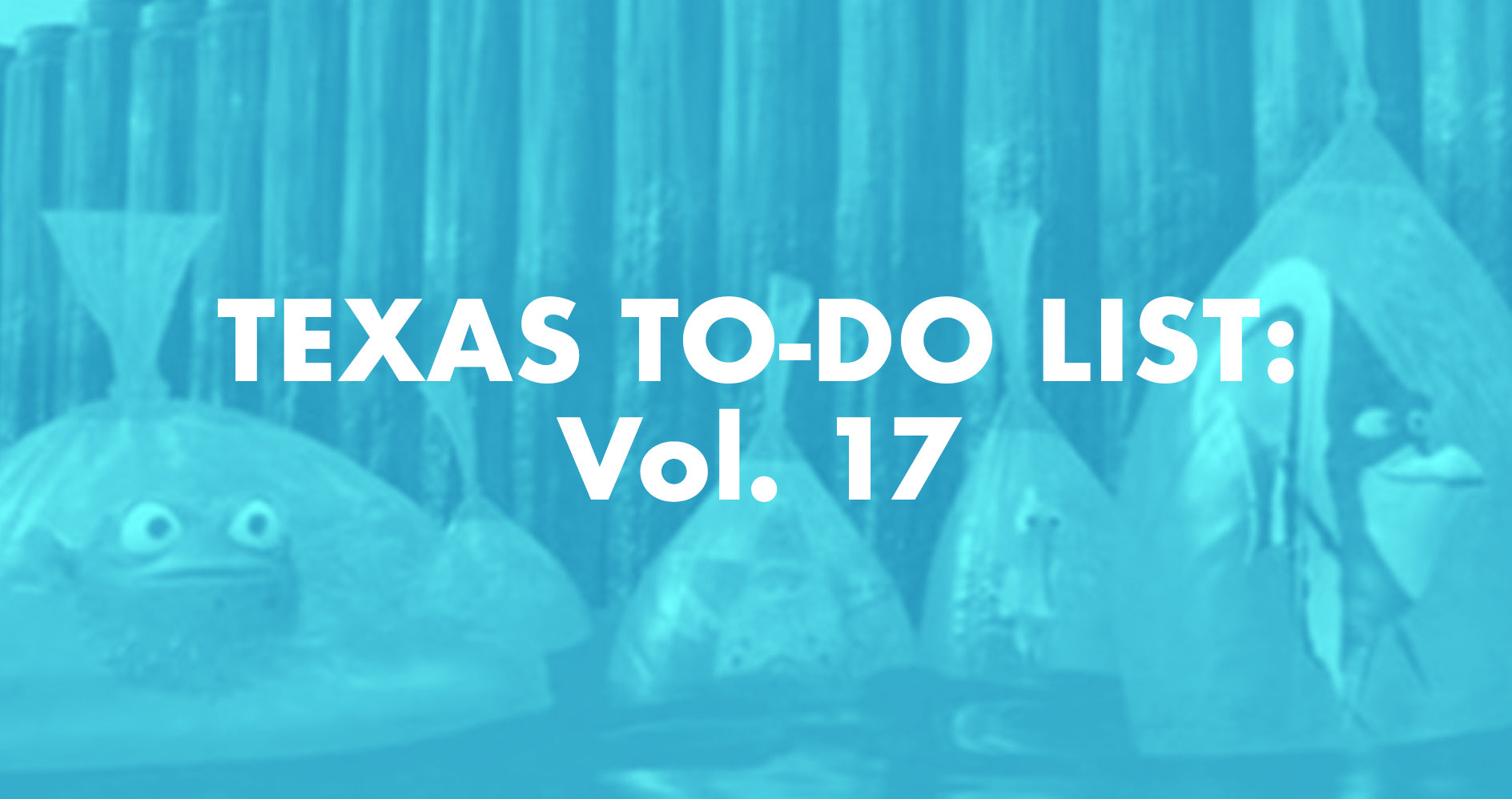 Texas To-Do List: Vol. 17