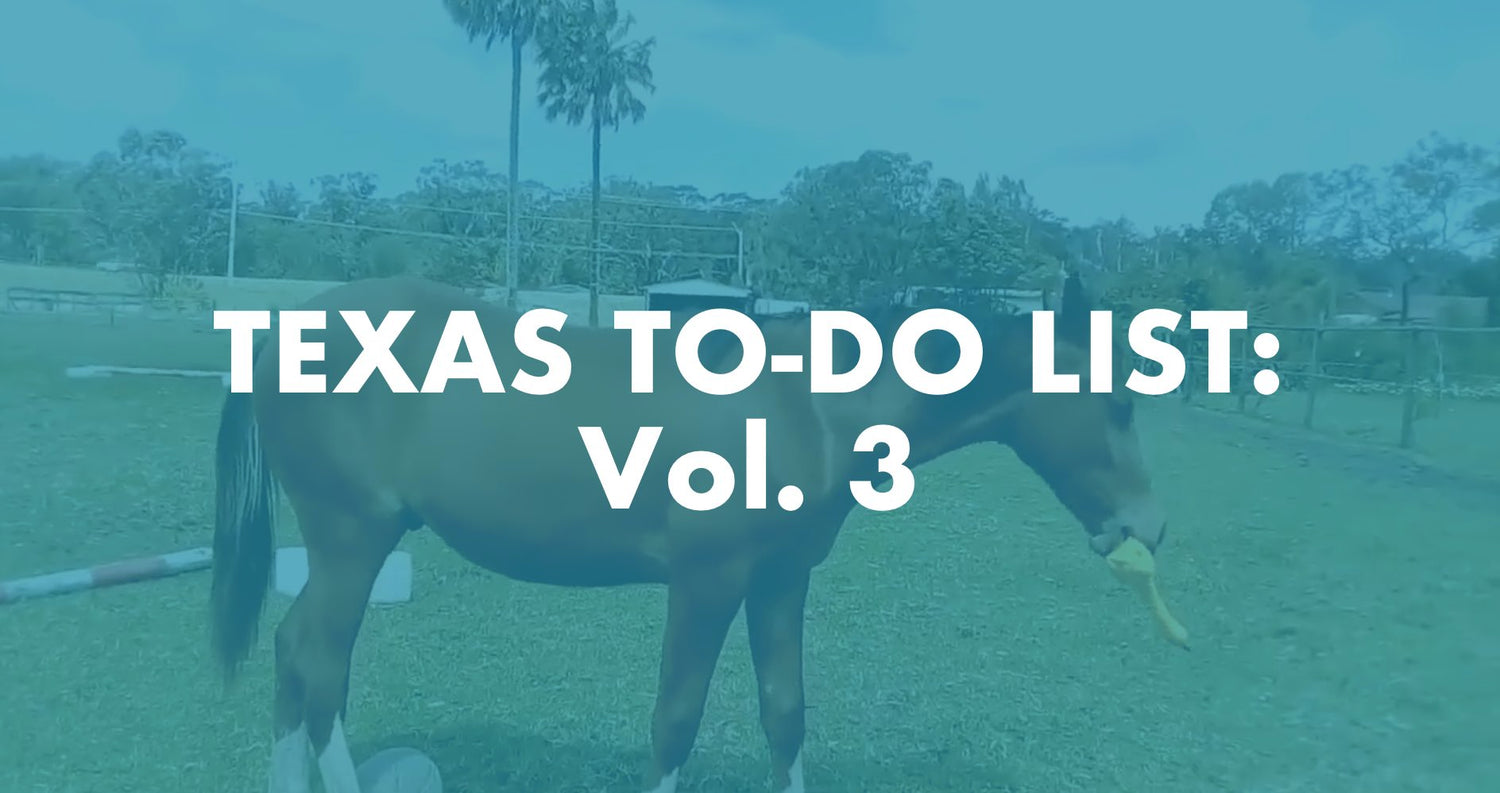 Texas To-Do List: Vol. 3